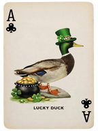 luckyduck boho tee pippy